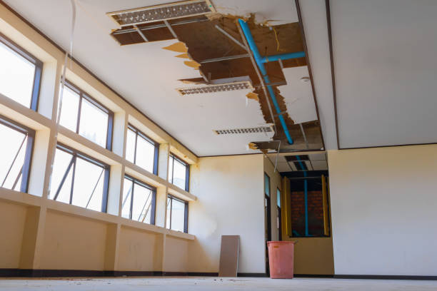 Best Flooded house restoration  in Posen, IL