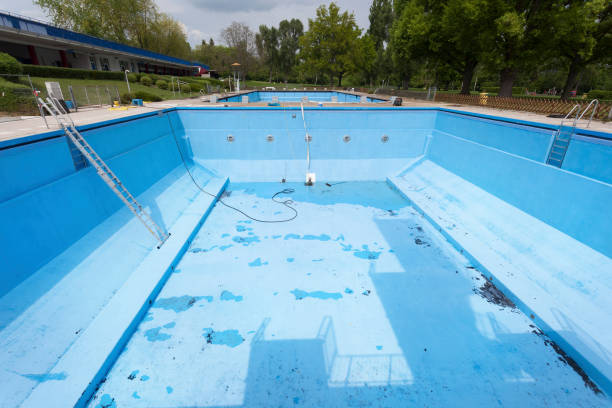 Best Water damage contractors near me  in Posen, IL
