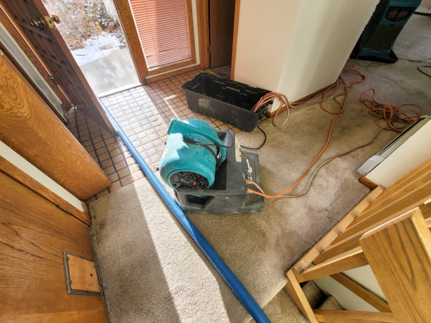 Best Flood damage cleanup  in Posen, IL