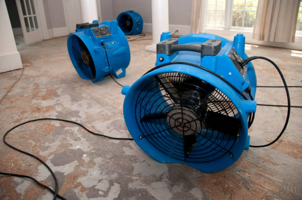 Best Water damage restoration near me  in Posen, IL