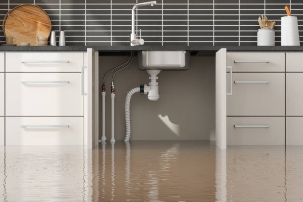 Best Local water damage restoration  in Posen, IL
