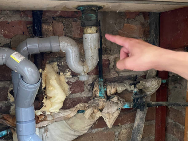 Best Water damage restoration cost  in Posen, IL