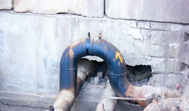Best Carpet water damage restoration  in Posen, IL