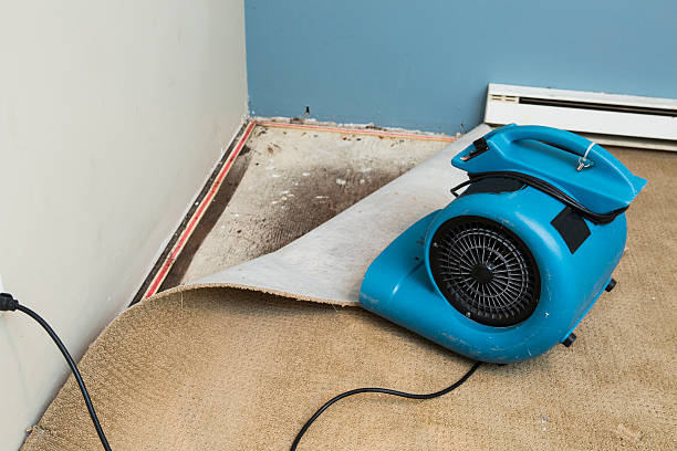  Posen, IL Water damage restoration Pros